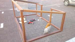 Wij proberen vast ons huis uit.